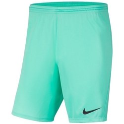 Vêtements Garçon Shorts / Bermudas Nike JR Park Iii Knit Vert