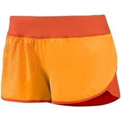 Vêtements Femme Pantacourts Reebok Sport Crossfit CF Knt Wyn Bdsh Orange