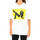 Vêtements Femme T-shirts & Polos Calvin Klein Jeans J20J209272-901 Multicolore