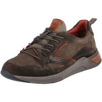Chaussures Homme Baskets basses Sioux  Marron