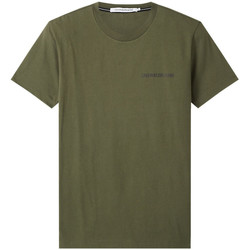 Vêtements Homme T-shirts & Polos Calvin Klein Jeans T-shirt  ref_50532 LDD Kaki Vert