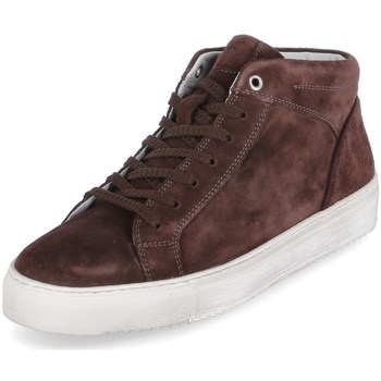 Chaussures Homme Baskets montantes Sioux 38192 Marron