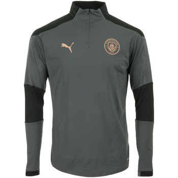 Vêtements Homme T-shirts manches courtes Puma Manchester City 1/4 Zip Top Gris