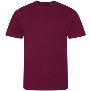 Vêtements Homme T-shirts manches longues Ecologie EA001 Multicolore