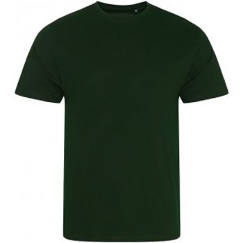 Vêtements Homme T-shirts manches longues Ecologie Cascades Vert