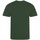 Vêtements Homme T-shirts manches longues Ecologie Cascades Vert