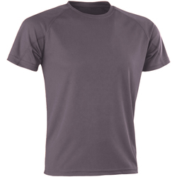 Vêtements Homme T-shirts manches courtes Spiro SR287 Gris