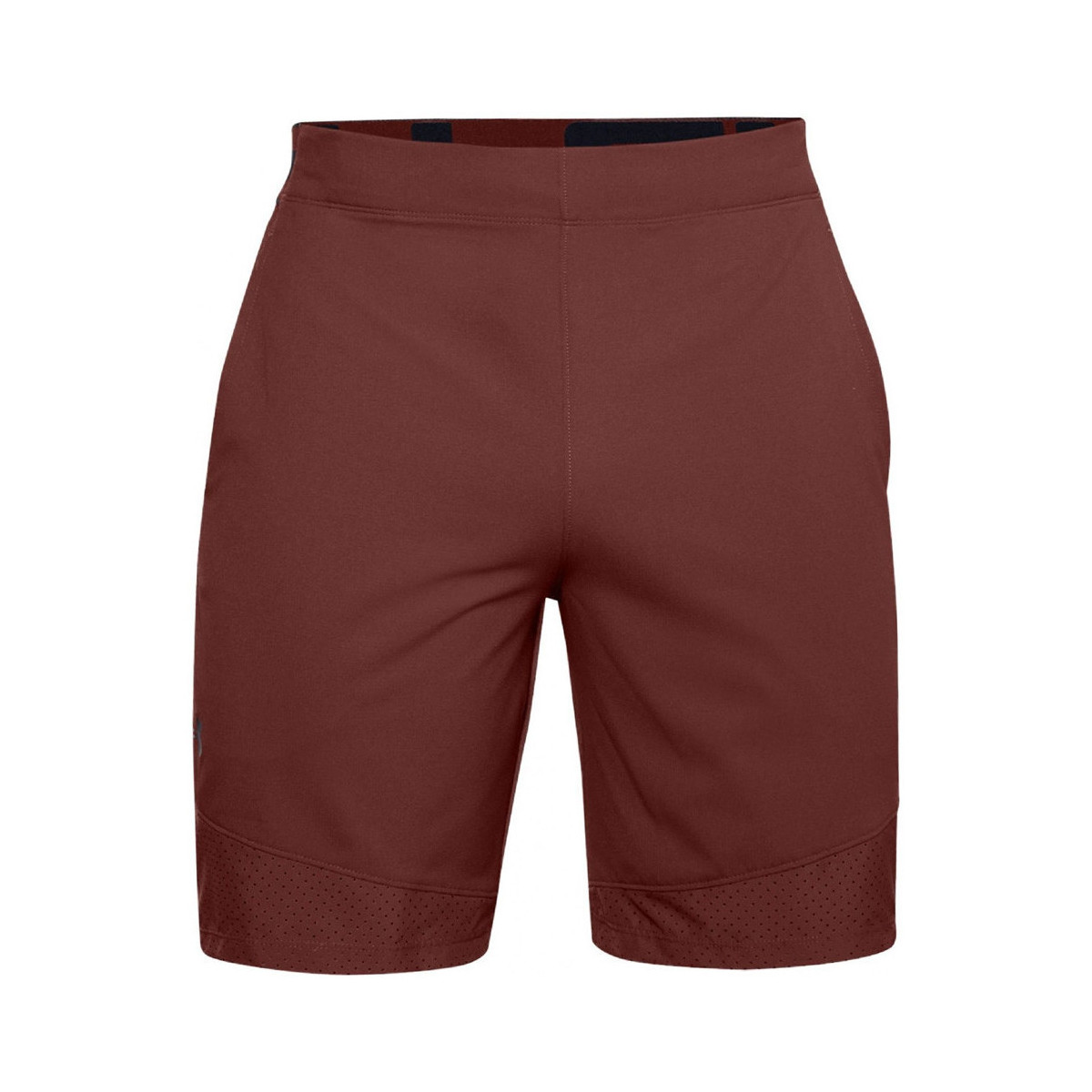 Vêtements Homme Shorts / Bermudas Under Armour VANISH Rouge