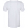 Vêtements Femme T-shirts manches longues Tee Jays Sof Blanc