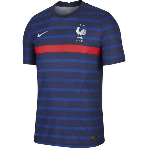 Vêtements Homme T-shirts manches courtes Nike Maillot France Domicile Bleu