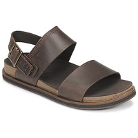 Chaussures Homme Sandales et Nu-pieds Timberland AMALFI VIBES 2BAND SANDAL Marron