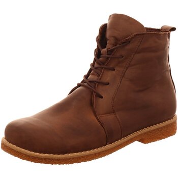Chaussures Femme Boots Andrea Conti  Marron