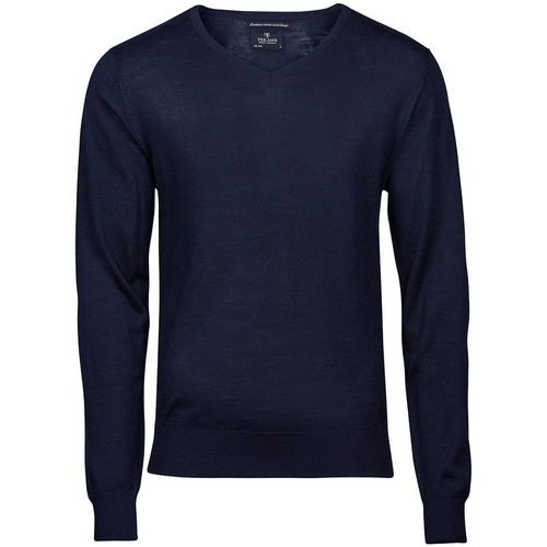Vêtements Homme Sweats Tee Jays T6001 Bleu