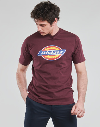 Vêtements Homme T-shirts manches courtes Dickies ICON LOGO Bordeaux