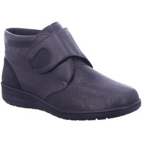 Chaussures Femme Boots Solidus  Gris
