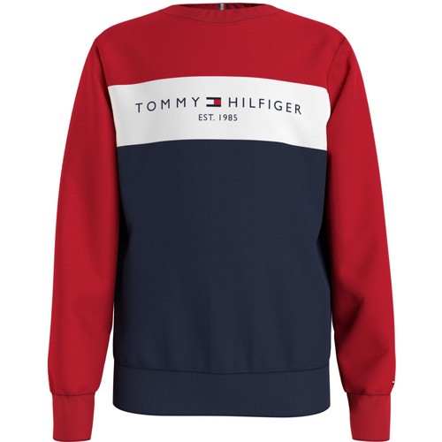 Vêtements Garçon Sweats Tommy Blue Hilfiger SIBEMA Multicolore