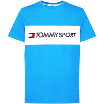 Vêtements Homme T-shirts manches courtes Tommy Hilfiger S20S200375 