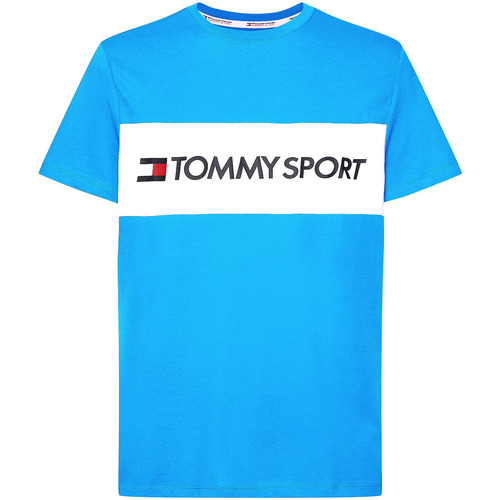 Vêtements Homme T-shirts manches courtes Tommy Hilfiger S20S200375 Bleu