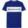 Vêtements Homme T-shirts & Polos Tommy Hilfiger S20S200375 Bleu
