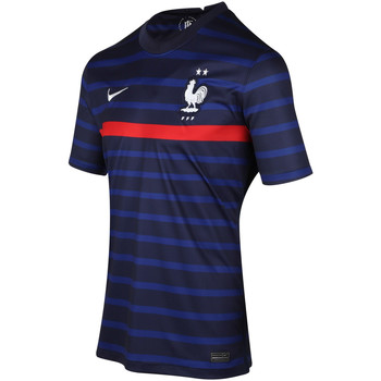 Vêtements Enfant T-shirts manches courtes Grey Nike Maillot France Domicile Bleu