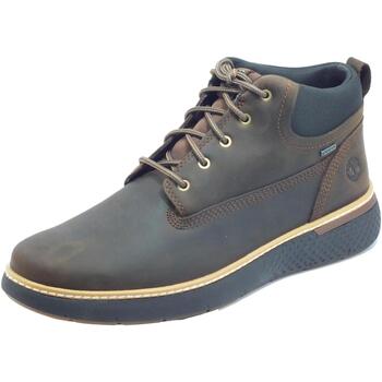 Chaussures Homme Boots Timberland presepe 0A1TQL Cross Gtx Chukka Dk Marron
