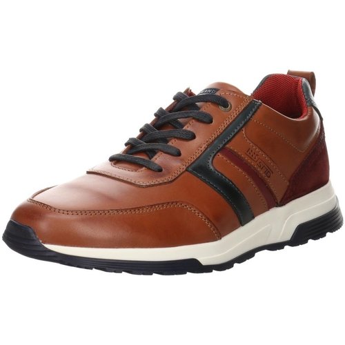 Chaussures Homme Oh My Bag Salamander  Marron