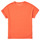 Vêtements Fille T-shirts manches courtes Name it NKFKYRRA Corail
