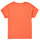 Vêtements Fille T-shirts manches courtes Name it NKFKYRRA Corail