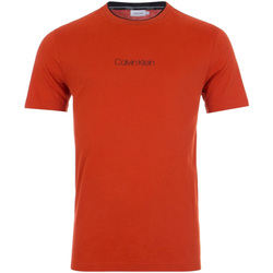 Vêtements Homme T-shirts & Polos Calvin Klein Jeans K10K104934 Rouge