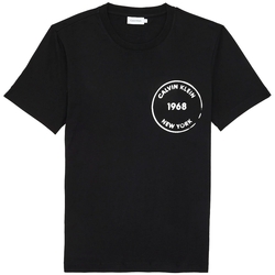 Vêtements Homme T-shirts & Polos Calvin Klein Jeans K10K104509 Noir