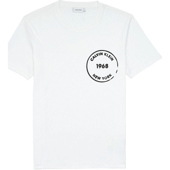Vêtements Homme T-shirts manches courtes Calvin Klein Jeans K10K104509 Blanc