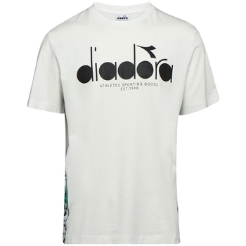 Vêtements Homme T-shirts manches courtes Diadora 502176630 Beige