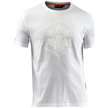 Vêtements Homme T-shirts manches courtes Lumberjack CM60343 005 514 Blanc