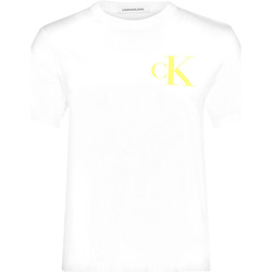 Vêtements Femme T-shirts manches courtes Calvin Klein Jeans J20J213562 Blanc