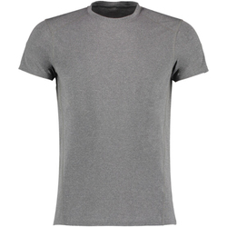 Vêtements Homme T-shirts manches courtes Gamegear KK939 Gris