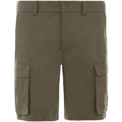 Vêtements Homme Shorts / Bermudas The North Face NF0A4CAL7D61 Vert