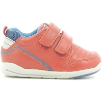 Chaussures Enfant Baskets basses Chicco 01056499000000 Rouge