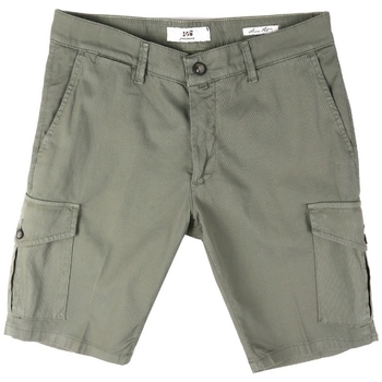 Vêtements Homme Shorts / Bermudas Sei3sei PZV130 8157 Vert