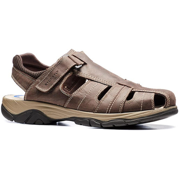 Chaussures Homme Sandales et Nu-pieds Stonefly 108693 Marron