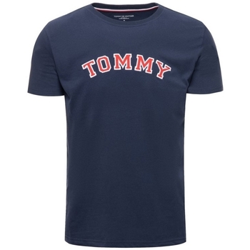 Vêtements Homme T-shirts manches courtes Tommy Hilfiger UM0UM01623 Bleu