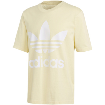 Vêtements Homme T-shirts manches courtes adidas Originals CW1215 Jaune