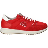 Chaussures Homme Baskets basses IgI&CO 1120344 Rouge