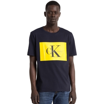 Vêtements Homme T-shirts manches courtes Calvin Klein Jeans J30J307427 Bleu