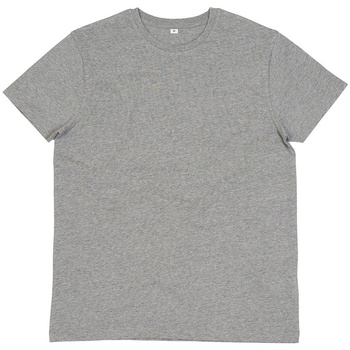 Vêtements Homme T-shirts manches longues Mantis Essential Gris
