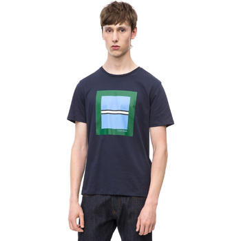 Vêtements Homme T-shirts manches courtes Calvin Klein Jeans K10K102679 Bleu