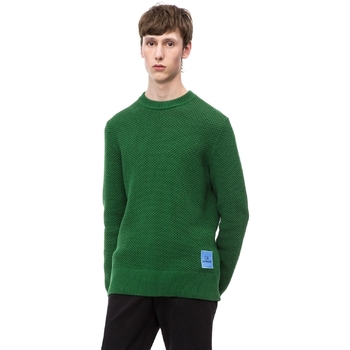 Vêtements Homme Pulls Calvin Klein Jeans K10K102731 Vert