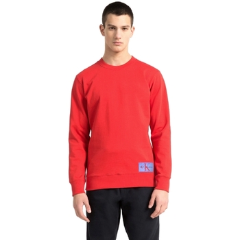 Vêtements Homme Sweats Calvin Klein Jeans J30J307743 Rouge