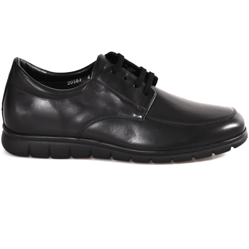 Chaussures Homme Derbies Soldini 20583 P Noir