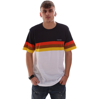 Vêtements Homme T-shirts manches courtes Calvin Klein Jeans K10K104375 Blanc