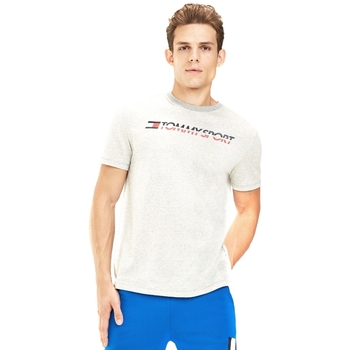 Vêtements Homme T-shirts manches courtes Tommy Hilfiger S20S200051 Gris